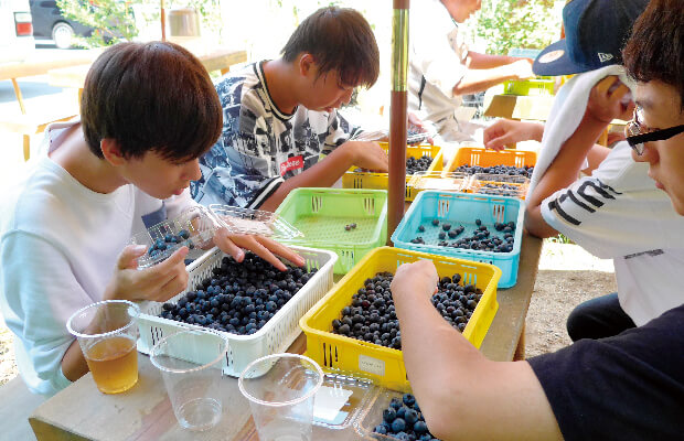 町おこしフィールドワーク